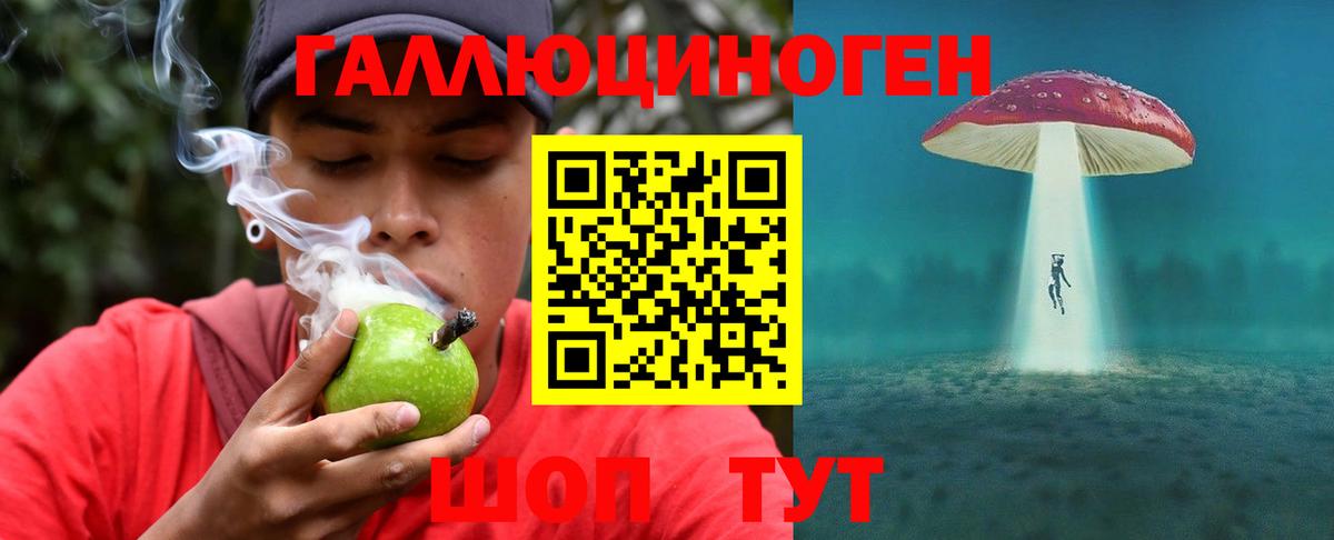 Галлюциногенные грибы мухоморы Новокузнецк